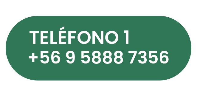 Contactar por WhatsApp